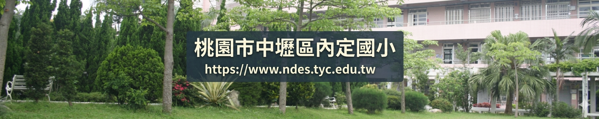 桃園市內定國小